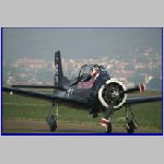 Warbirds (6).JPG